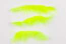 Feather Tracer 12/Pack verschiedene Farben