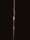 White Feather Langbogen Osprey Black 68" RH 30 #