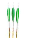 Easton Carbon Leagcy Komplettpfeil 600