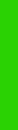 Wraps - Neon grün - Sets 2er Set