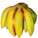 Inform3D Bananen Staude