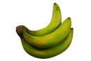 Inform3D Bananen Staude