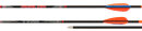 Avalon Tyro Komplettpfeil 2000 - 26"