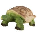 Eleven - Turtle
