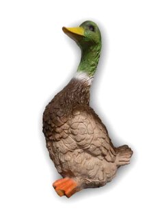 Center Point Stockente