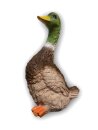 Center Point Stockente
