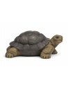 Booster 3D Schildkröte
